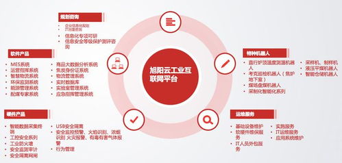 数字化转型联姻 一家数科公司的成功密码